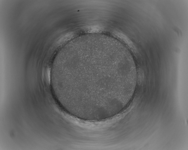 X0000111460022200908241330