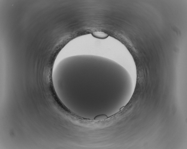 X0000111460023200908241330