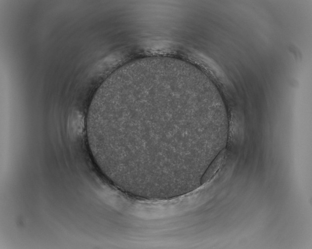 X0000111460025200908241329