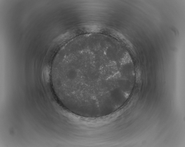 X0000111460026200908241329
