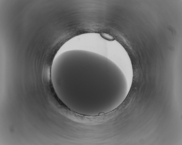 X0000111460027200908241329