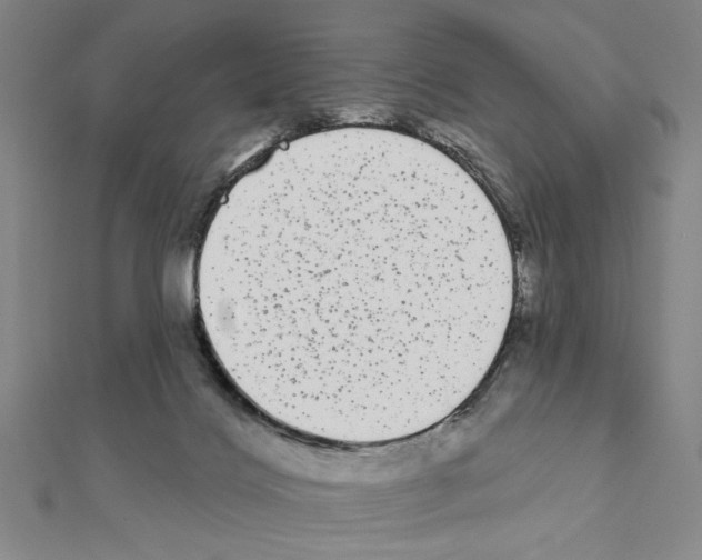 X0000111460028200908241329