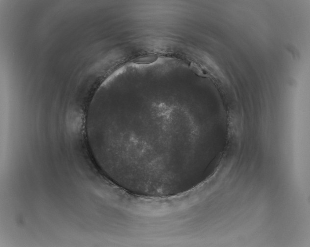 X0000111460029200908241329