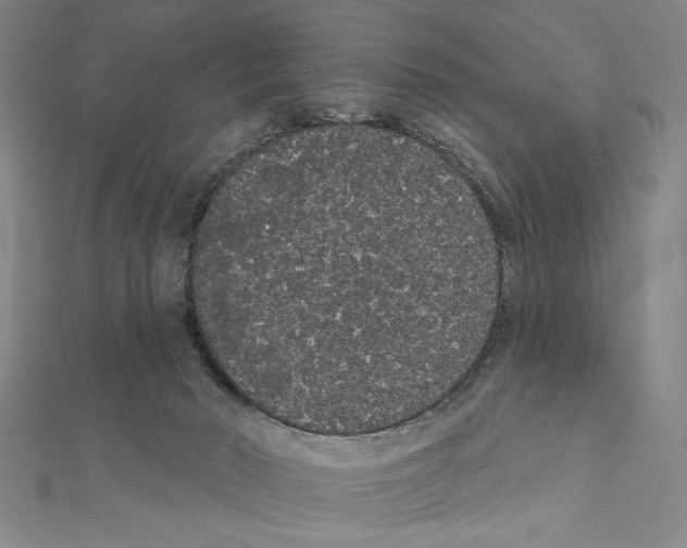 X0000111460030200908241329
