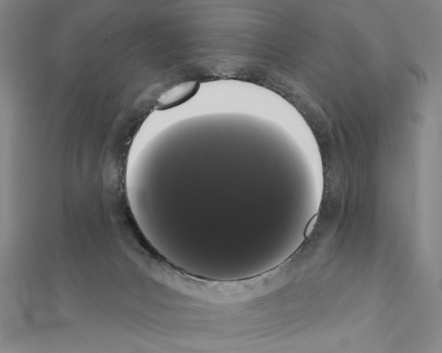 X0000111460031200908241329
