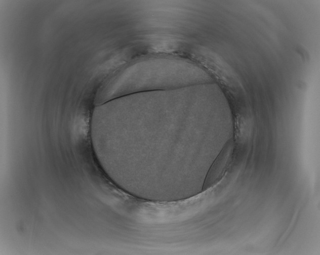 X0000111460033200908241329