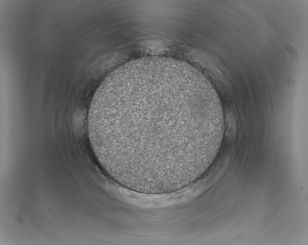 X0000111460034200908241329