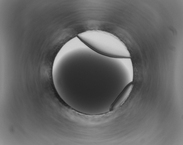 X0000111460035200908241329