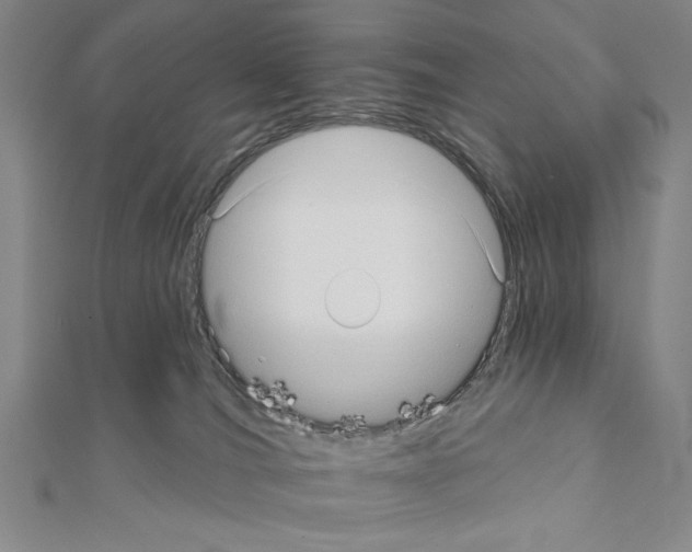 X0000111460036200908241329