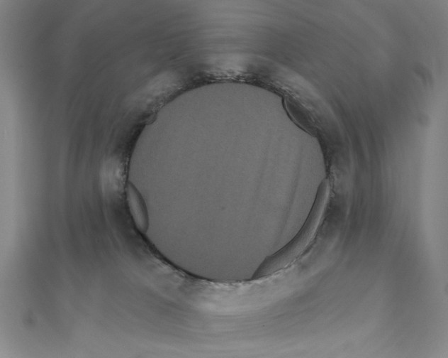 X0000111460037200908241329