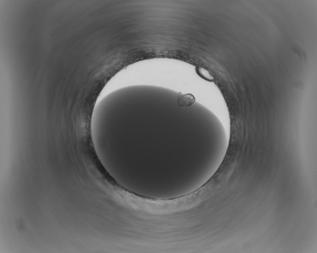 X0000111460039200908241329