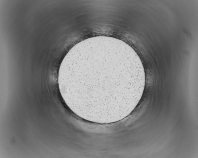 X0000111460040200908241329