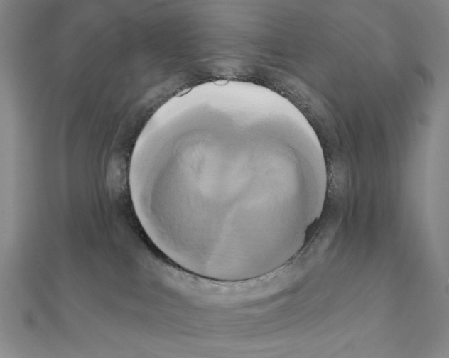 X0000111460043200908241329