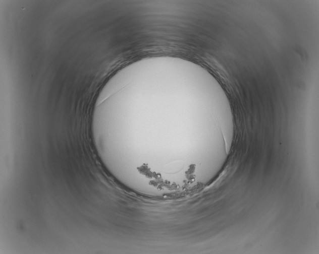X0000111460045200908241329