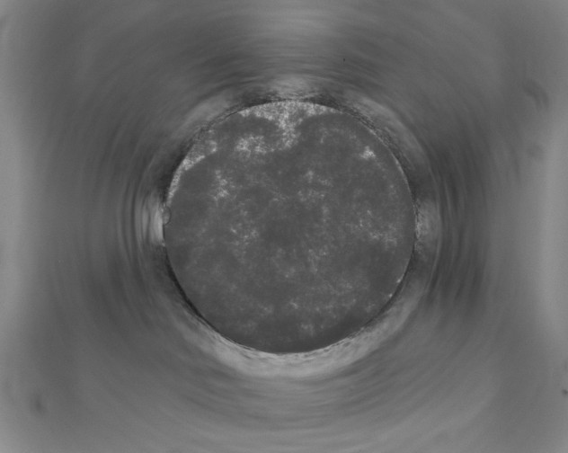 X0000111460046200908241329
