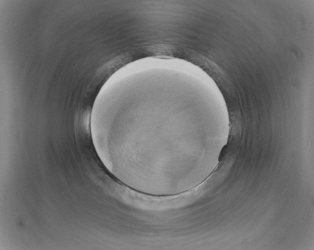 X0000111460047200908241329