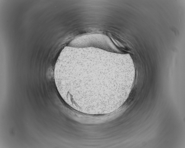 X0000111460048200908241329