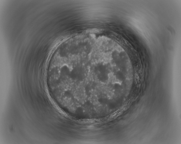 X0000111460049200908241328