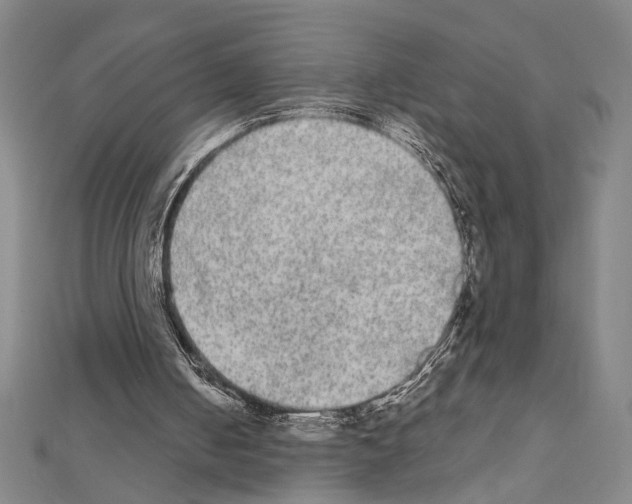 X0000111460050200908241328