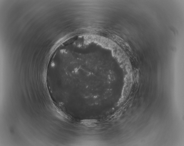 X0000111460051200908241328
