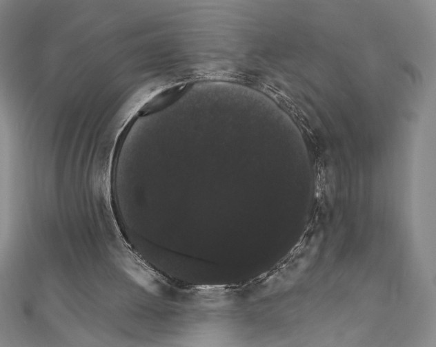 X0000111460052200908241328