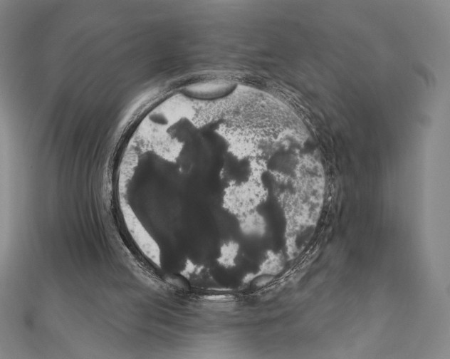 X0000111460053200908241328