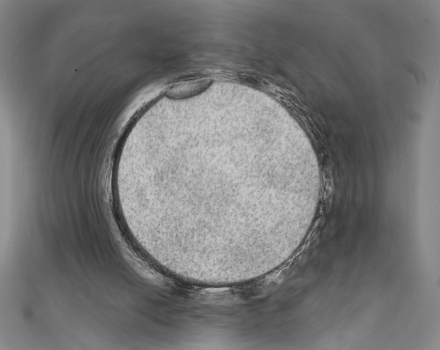 X0000111460054200908241328