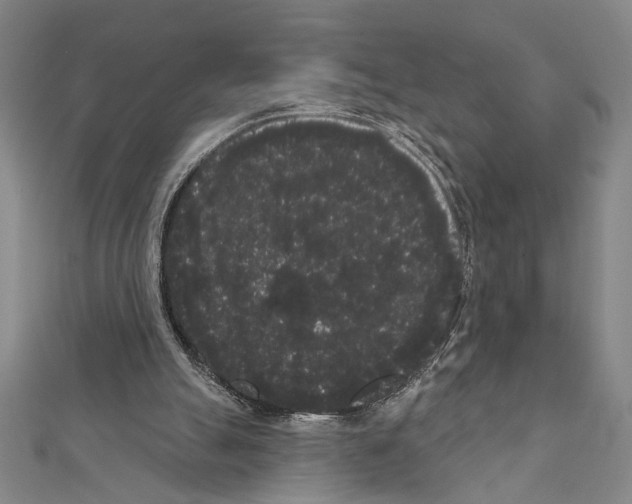 X0000111460055200908241328