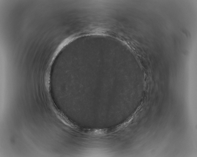 X0000111460056200908241328