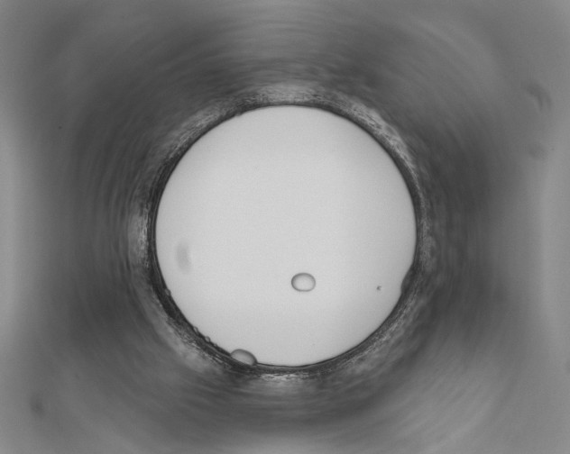 X0000111460057200908241328