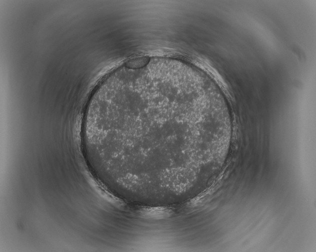 X0000111460058200908241328