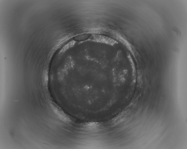 X0000111460059200908241328