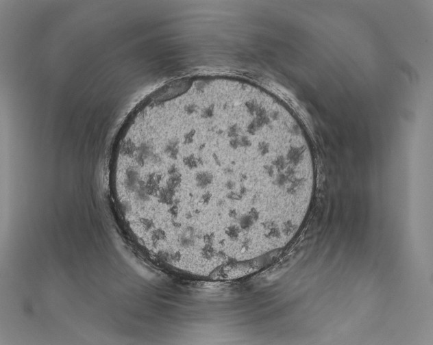 X0000111460060200908241328