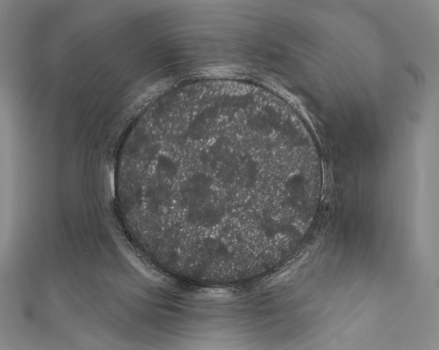 X0000111460061200908241328