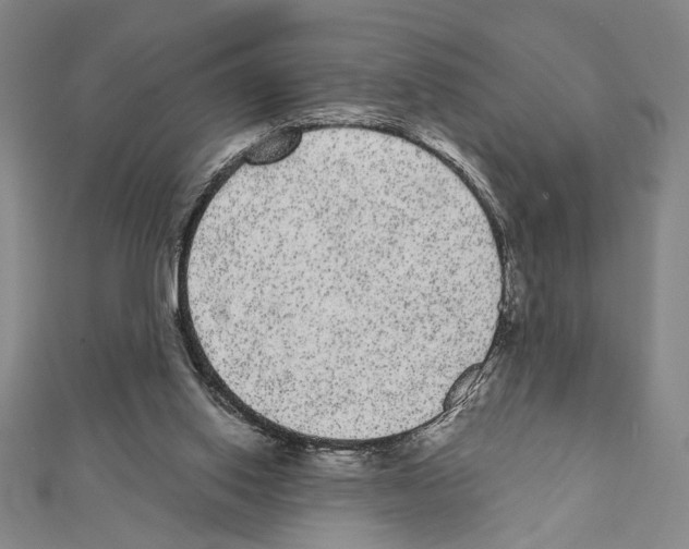 X0000111460062200908241328