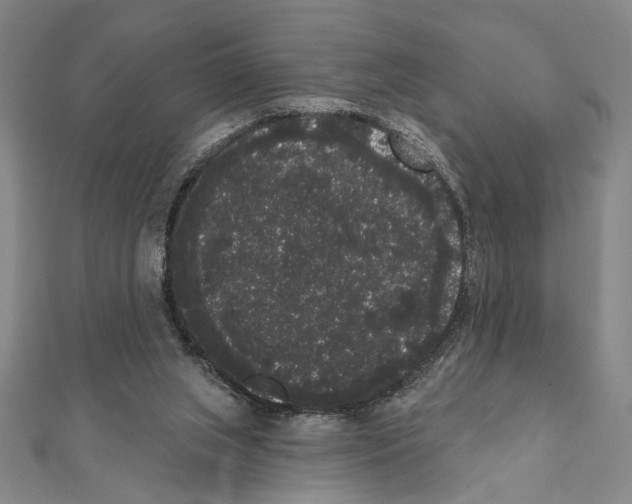 X0000111460063200908241329