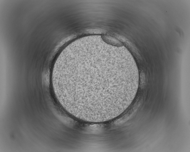 X0000111460064200908241329