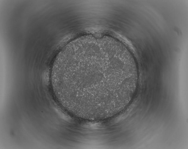 X0000111460065200908241329