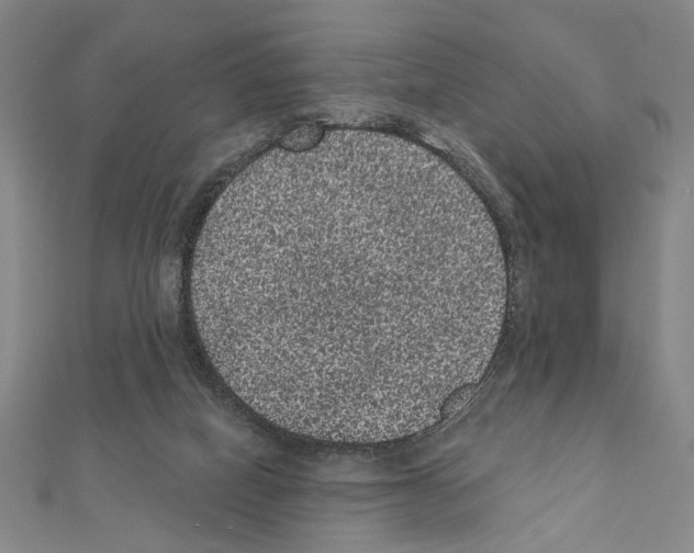 X0000111460066200908241329