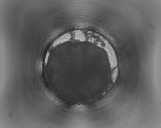 X0000111460067200908241329