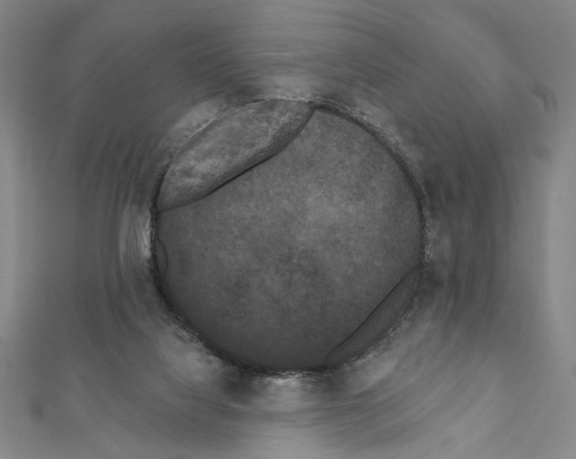X0000111460068200908241329