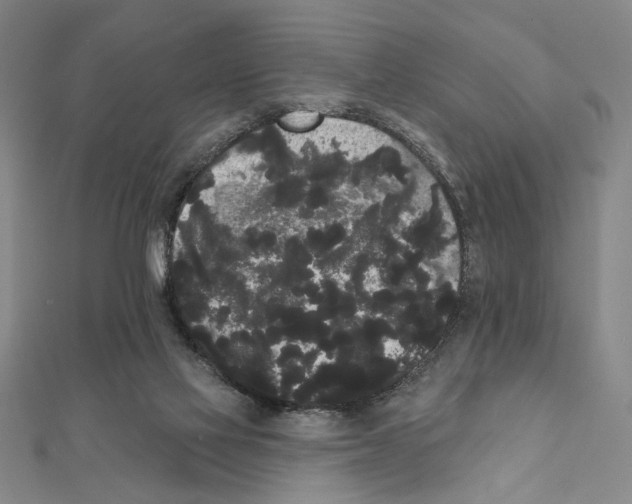 X0000111460069200908241329
