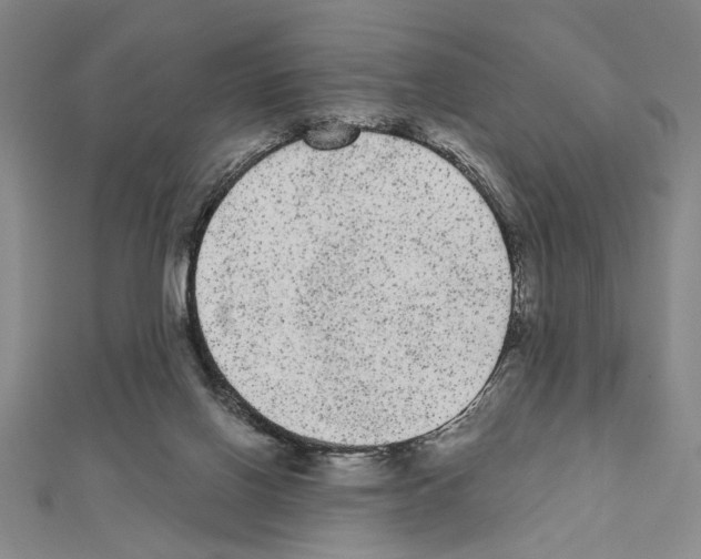 X0000111460070200908241329