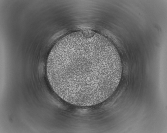 X0000111460071200908241329