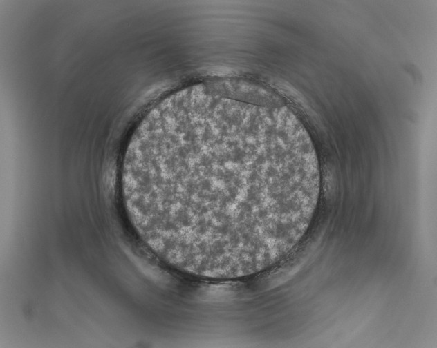 X0000111460072200908241329