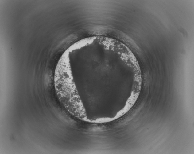 X0000111460073200908241329