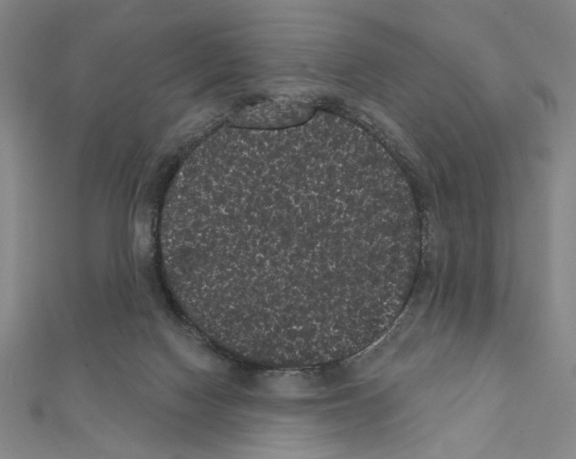X0000111460074200908241329