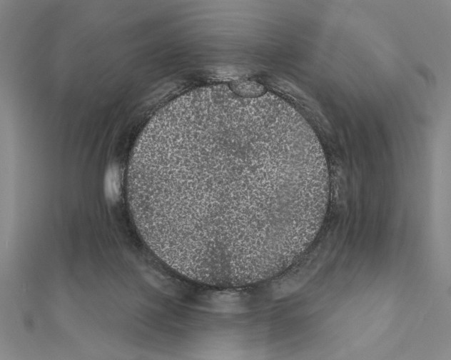 X0000111460075200908241329