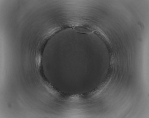 X0000111460076200908241329