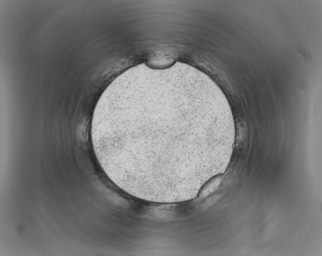 X0000111460078200908241329